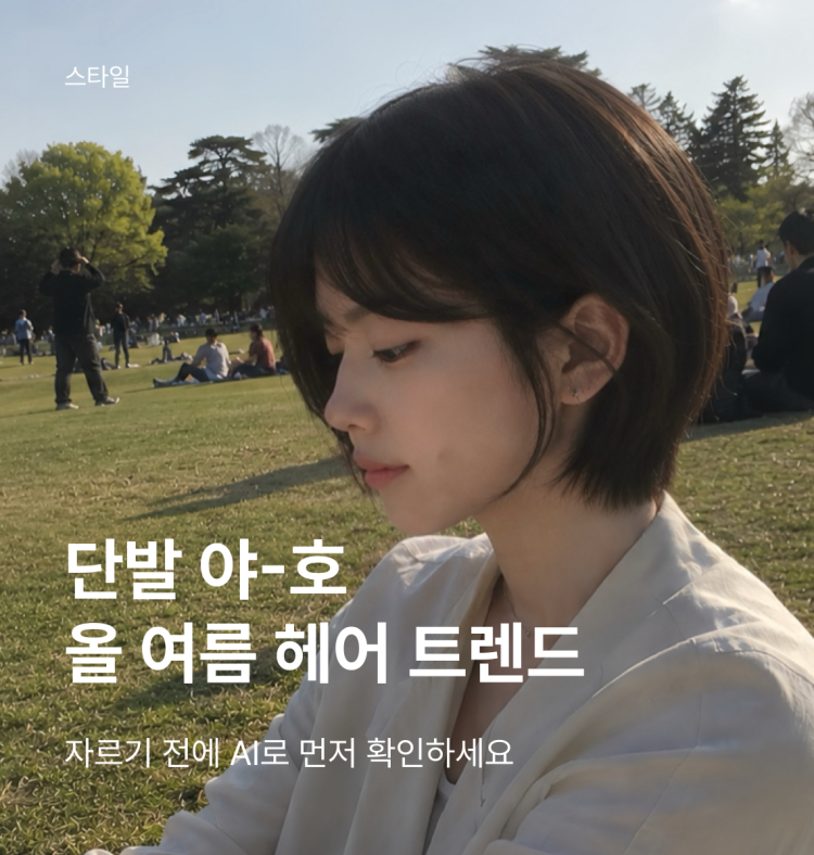 배너 이미지