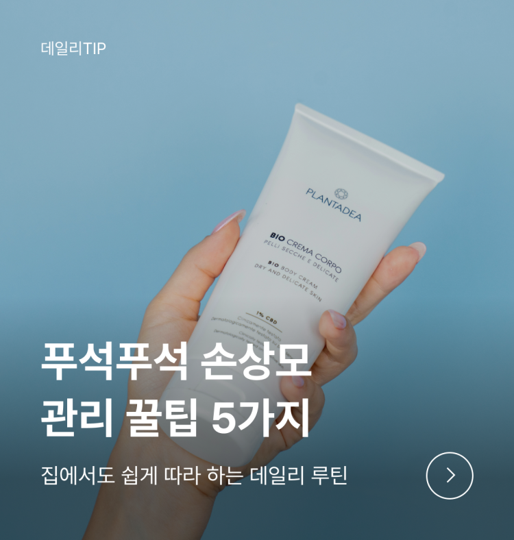 배너 이미지