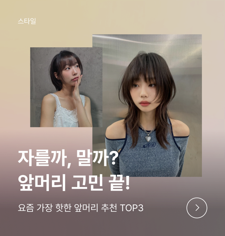 배너 이미지