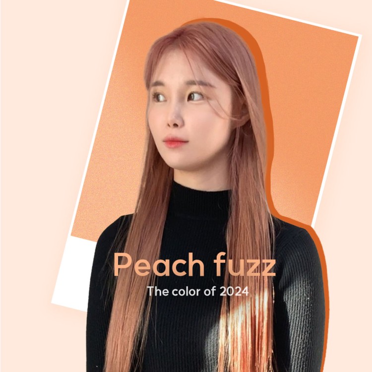2024년 올해의 컬러로