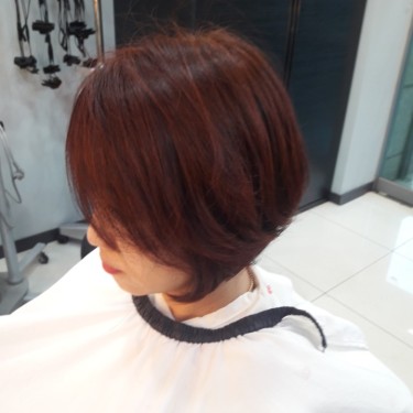 여성컷