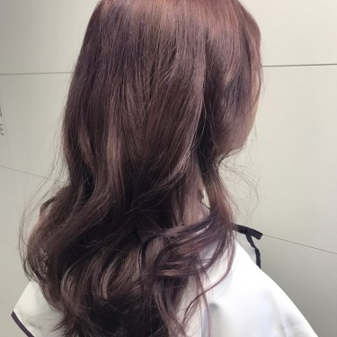 펌 Premium