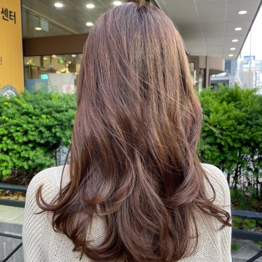 전체염색
