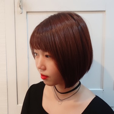 일반 염색