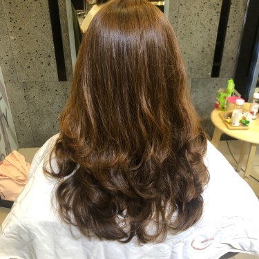 판타스틱 브라질리아 (유화시술)