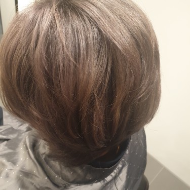전체칼라