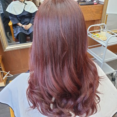 손상0% 전체염색