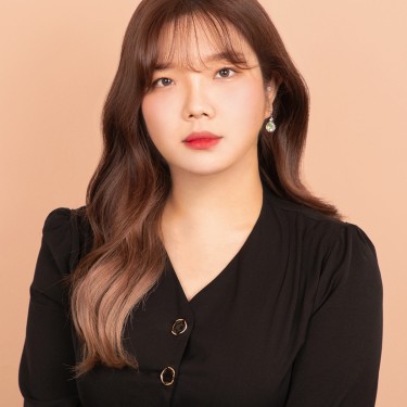아이롱 드라이