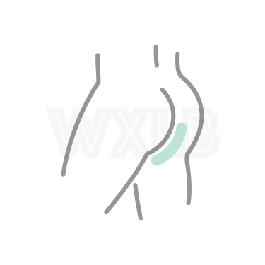 항문