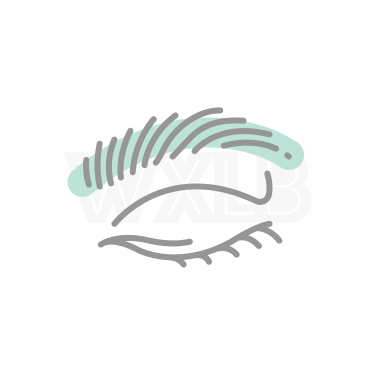 눈썹