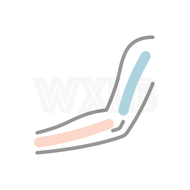 팔 절반