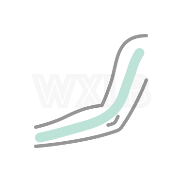 팔 전체