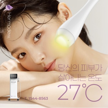 에르모듀 플라즈마 관리