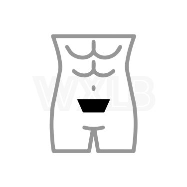 세미 누드