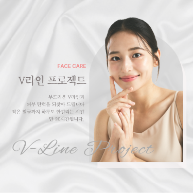 V라인 프로젝트
