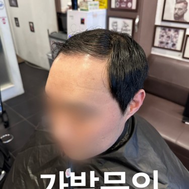 인생가발