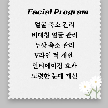 윤곽술(얼굴 축소)