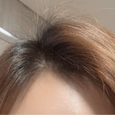 포토리뷰 1