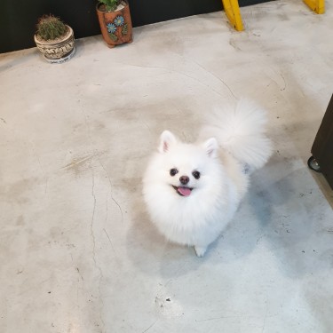 포토리뷰 8