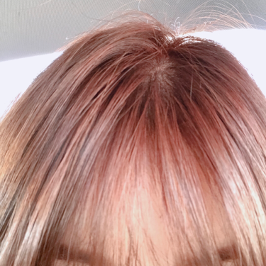 포토리뷰 2