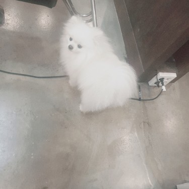 포토리뷰 3