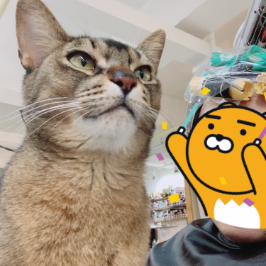 포토리뷰 8