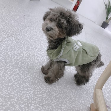 포토리뷰 8