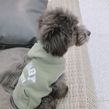 포토리뷰 7