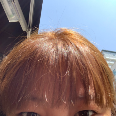 포토리뷰 1