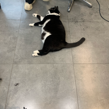 포토리뷰 4