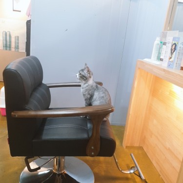 포토리뷰 1