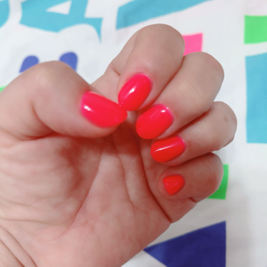 포토리뷰 8