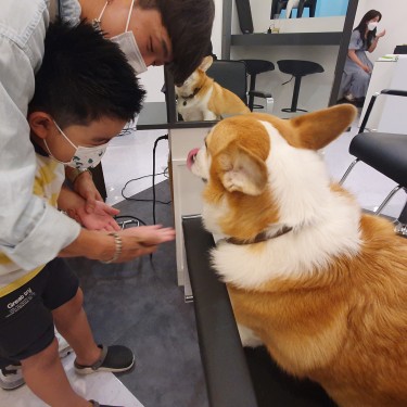 포토리뷰 1