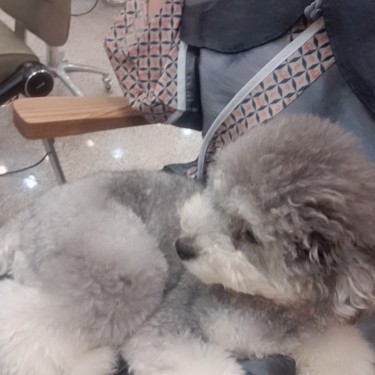 포토리뷰 8