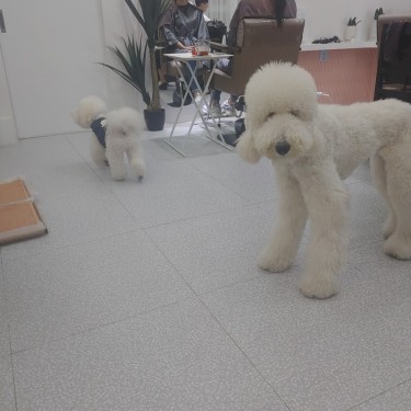 포토리뷰 5