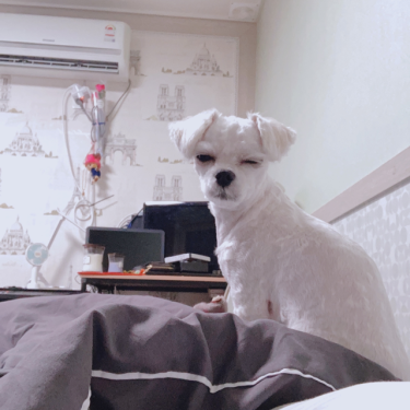 포토리뷰 6