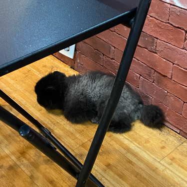포토리뷰 7
