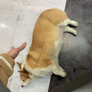 포토리뷰 4