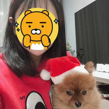 포토리뷰 7