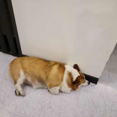 포토리뷰 2