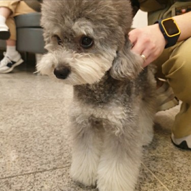포토리뷰 2
