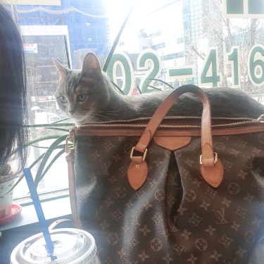 포토리뷰 6