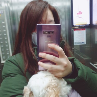 포토리뷰 6