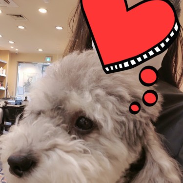 포토리뷰 3