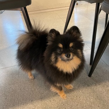 포토리뷰 2