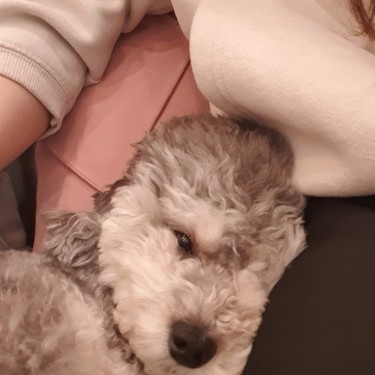 포토리뷰 1
