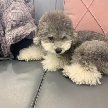 포토리뷰 4