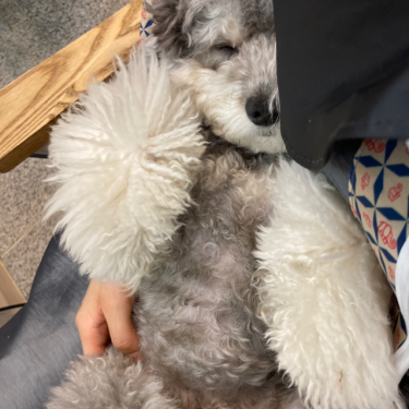 포토리뷰 8