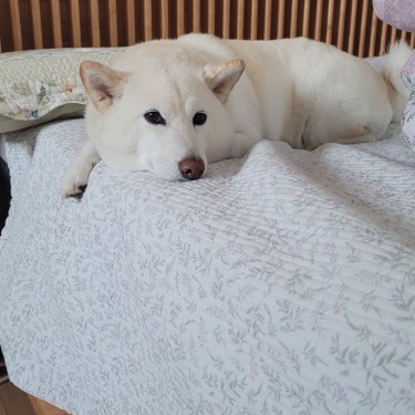 포토리뷰 4