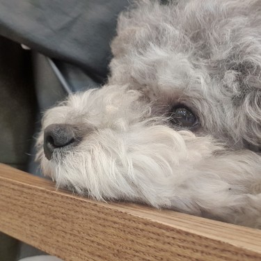 포토리뷰 1